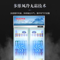 澳柯玛(AUCMA)LSC-1020DW风冷无霜冷藏展示柜蔬菜保鲜啤酒饮料商用冰箱立式双门冰柜