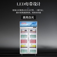 澳柯玛(AUCMA)LSC-1020DW风冷无霜冷藏展示柜蔬菜保鲜啤酒饮料商用冰箱立式双门冰柜