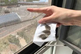擦玻璃太累了,教你简单一招,轻松一擦,玻璃干净如新不留灰尘视频封面