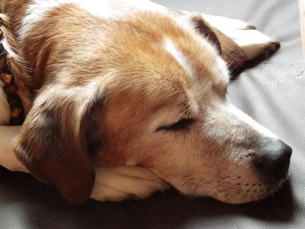有哪些帮助睡眠的方法吗？