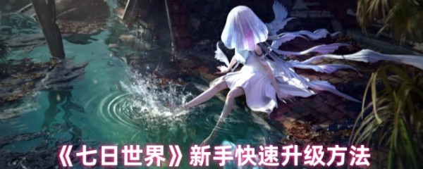 新手快速升级方法