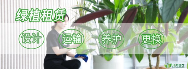 图2 完成.png