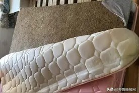 甲醛怎么样快速散去？过来人分享正确治理方案，安心住新家图片