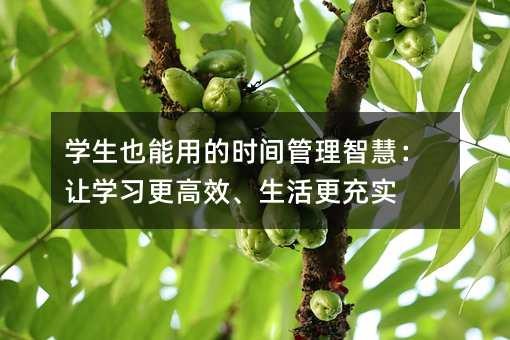 学生也能用的时间管理智慧：让学习更高效、生活更充实