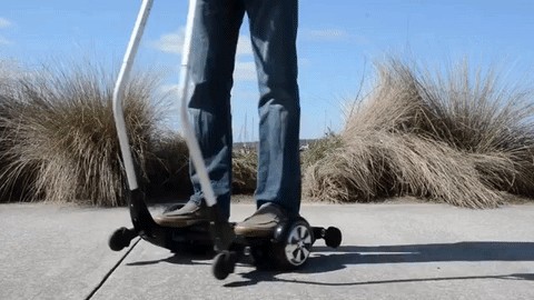 giphy.gif
