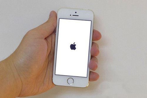 iPhone白屏开不了机