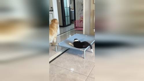 贝塔：我的媳妇儿梦到底何时才能实现