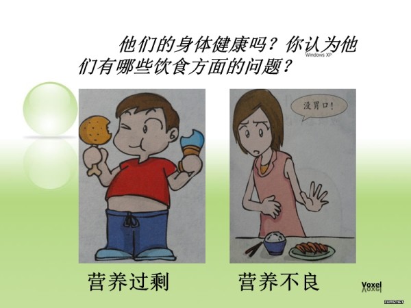 苏教版本小学四年级科学上册《怎样搭配食物》.ppt_第2页