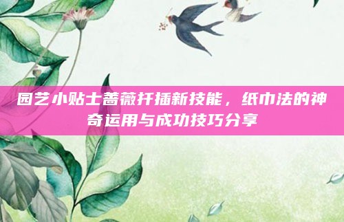园艺小贴士蔷薇扦插新技能，纸巾法的神奇运用与成功技巧分享