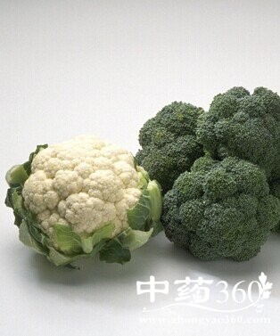 儿童食谱,对孩子健康有益的六大食物