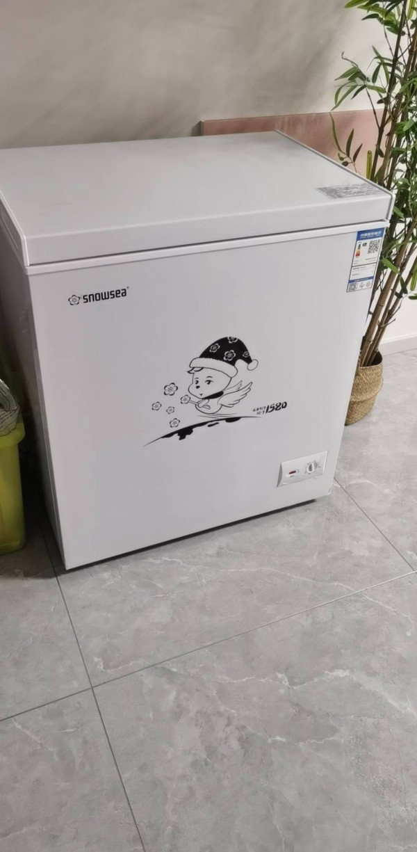 [苏宁优品]香雪海 180升 冰柜家用冷柜 冷藏柜 冷冻柜 冷藏冷冻可转换 冰柜小型家用 BD/BC-180S228晒单图