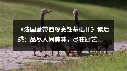 《法国蓝带西餐烹饪基础Ⅱ》读后感：品尽人间美味，尽在厨艺巅峰 (750字)