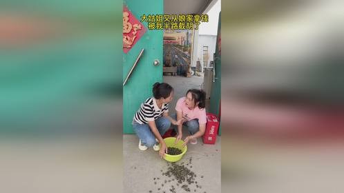 大姑姐又从娘家拿东西，被我半路截胡了