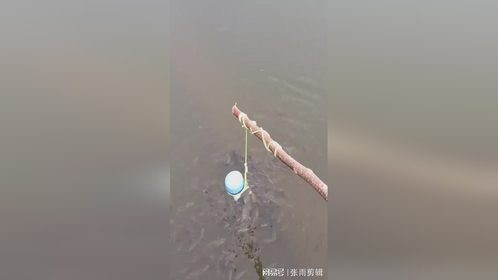 表哥自制捕鱼工具，轻松捕获小溪鱼群秘诀！