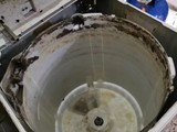 成都正规老房子灭鼠 武侯洗衣机清洗 欢迎咨询了解