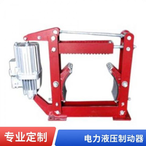 YWZ4-300/50 电力液压制动器 金箍临瑞 鼓式刹车片