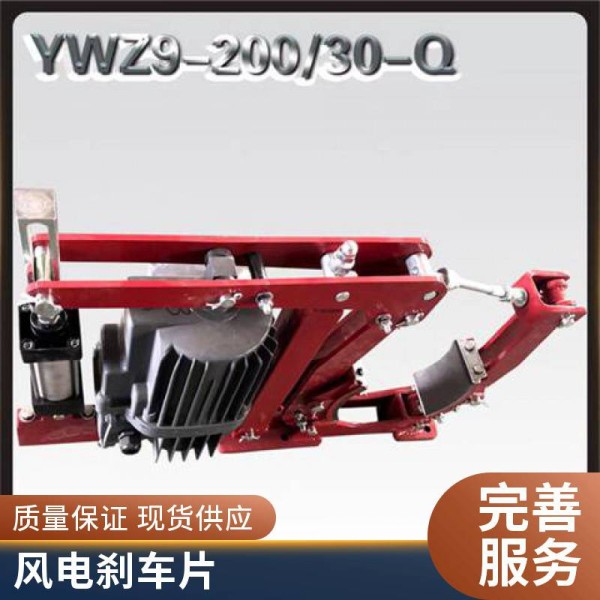 YWZ5-315/50电力液压制动器 金箍临瑞 盘式摩擦片