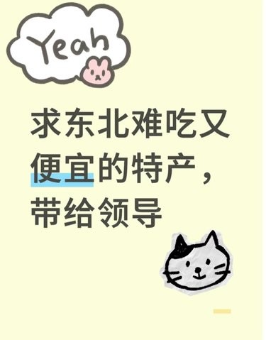 啥都不服，就服评论区