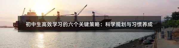 初中生高效学习的六个关键策略：科学规划与习惯养成