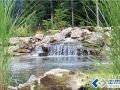美国庭院景观设计展示（六）
