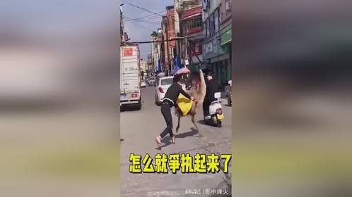 怎么就争执起来了