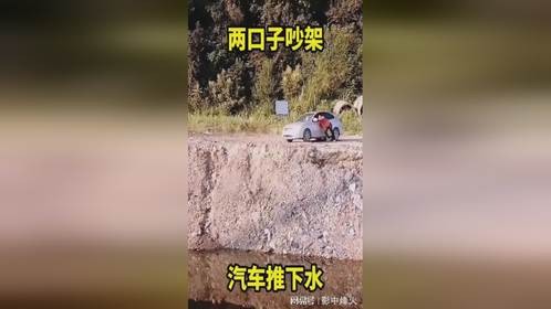两口子吵架，汽车推下水！