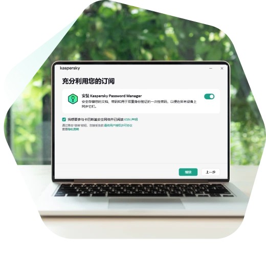 Kaspersky is easy to install