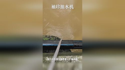 袖珍抽水机