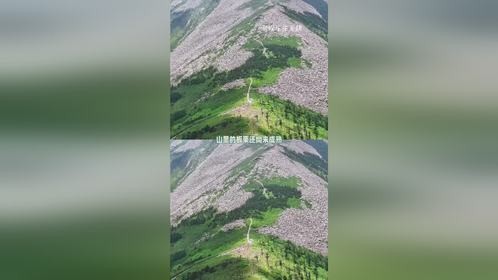 这是赤裸裸的盗窃和破坏行为