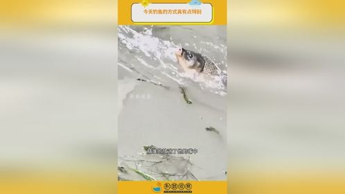 今天钓鱼的方式真有点特别