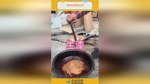 这种生漆你见过吗