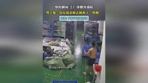 惊险瞬间!工厂顶棚突塌陷，男子第一反应竟是回去喊狗子“快跑”