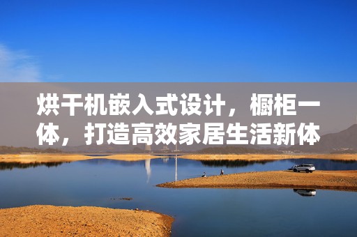 烘干机嵌入式设计，橱柜一体，打造高效家居生活新体验