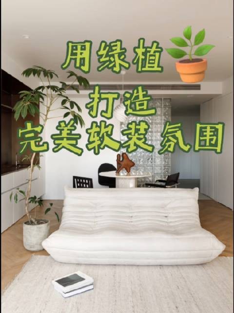 挑选绿植提升家居软装氛围的技巧