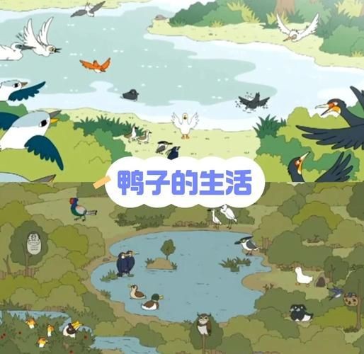 小鸭子的生活中文版 看看鸭妈妈怎样照顾小鸭子