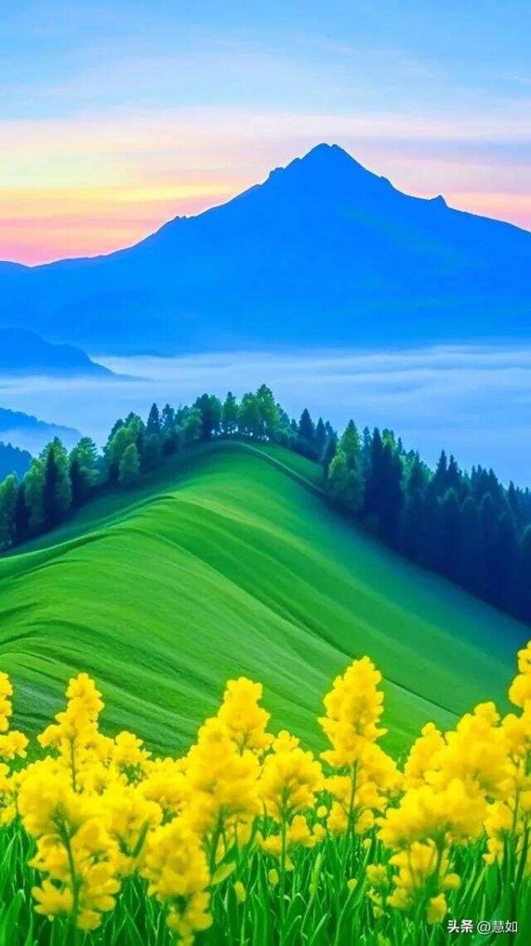 你获得迅速成长的人生二十条智慧
