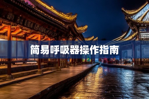 简易呼吸器操作指南