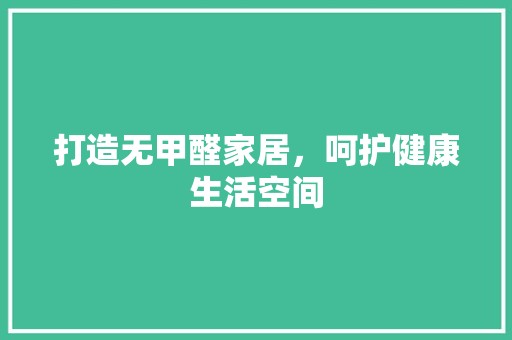 打造无甲醛家居，呵护健康生活空间 客厅