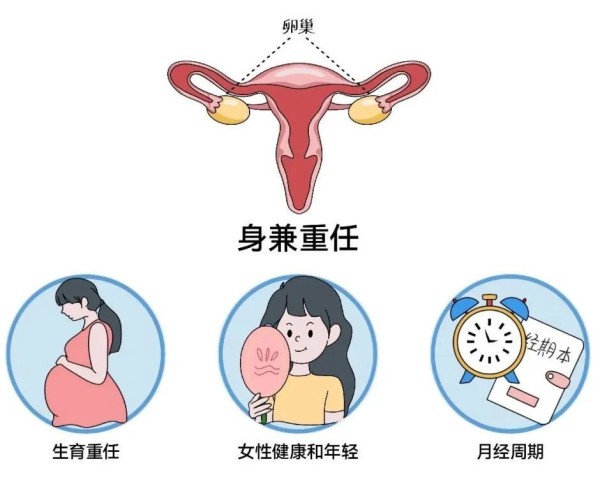 “妇癌之王”卵巢癌大揭秘：早期没症状，这些人高危