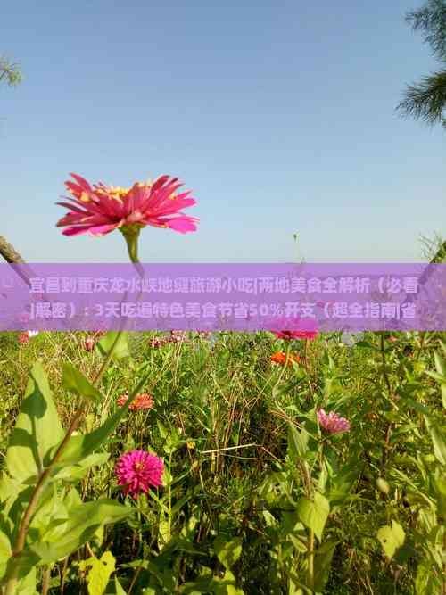 宜昌到重庆龙水峡地缝旅游小吃