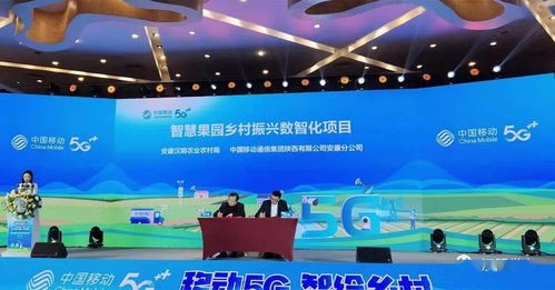 乡村智慧化娱乐休闲体验提升,引言:农村变革的新机遇(1)