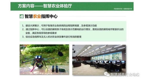 乡村智慧化娱乐休闲体验提升,引言:农村变革的新机遇(3)