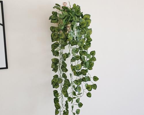 打造舒适奶茶店氛围的植物选择（以“清新绿植”为主题的奶茶店装修建议）