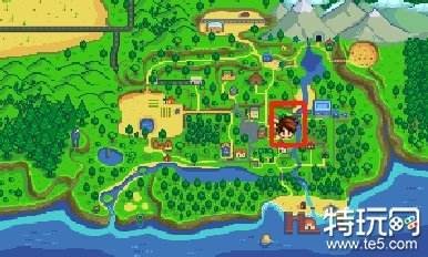 星露谷物语潘妮在哪 潘妮日程表介绍