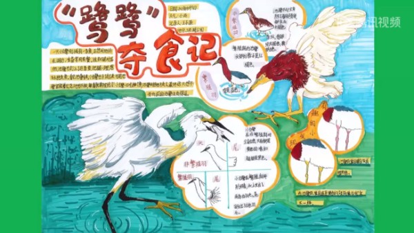 3a75d8959349a4389ffd9030e575b67a.png