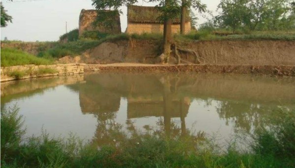 村中涝池