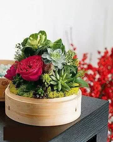 不用小蒸茏的小改造，变身景观花盆栽，点缀自家小院子