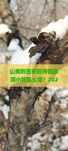 山南到西安回民街旅游小吃