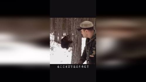 猎人在教黑熊认识真理