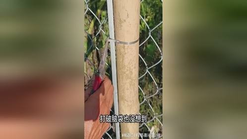 国外小伙独特扎带操作，教你轻松固定铁丝网！